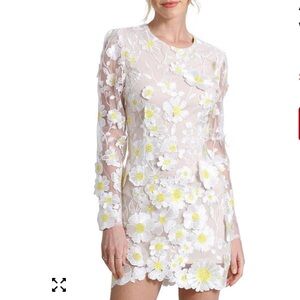 Avec Les Filles Floral-Embroidered Mini Dress